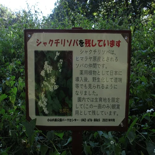 シャクチリソバの説明プレート