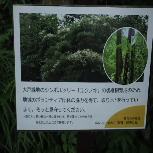 ユクノキの説明板